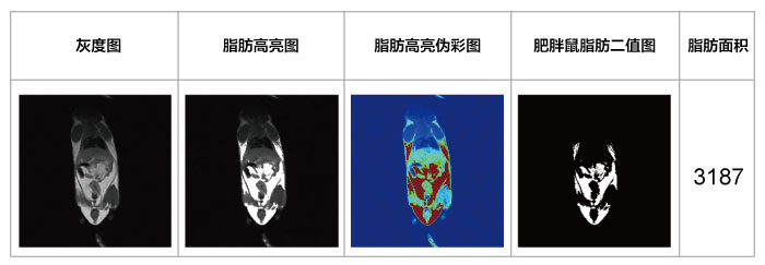 核磁共振在生命科学领域部分案例【二】